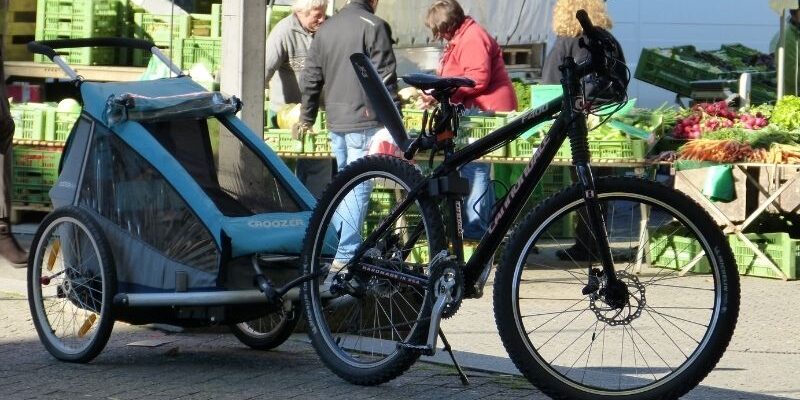 So finden Sie den besten Fahrradanhänger für Ihr Kind