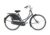 Gazelle Classic, Damen, Holland, Modell 2021, 28 Zoll