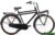 Herren Hollandrad Daily Dutch 3 Gang 28 Zoll schwarz 57 cm