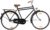 vidaXL Hollandrad 28 Zoll Rad Fahrrad 57cm Rahmen Tiefeinsteiger Damen/Herren